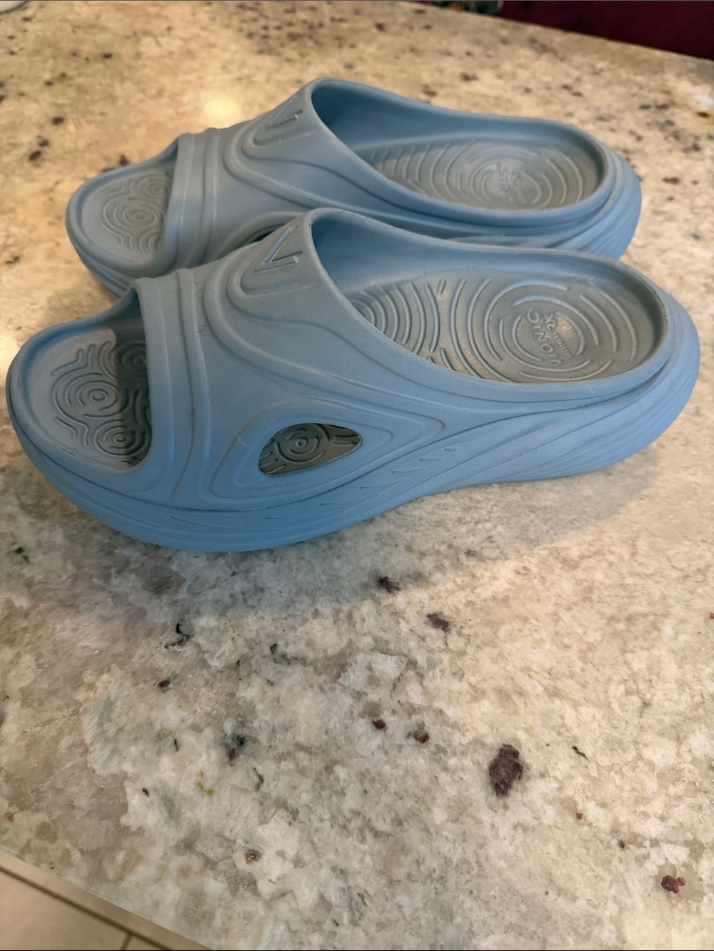 Vionic Light Blue Slide Sandals